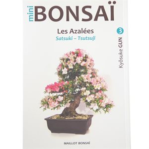Mini-bonsai - Azalées - Kyosuke Gun