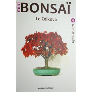 Mini-Bonsai - Zelkova - Kiosuke Gun