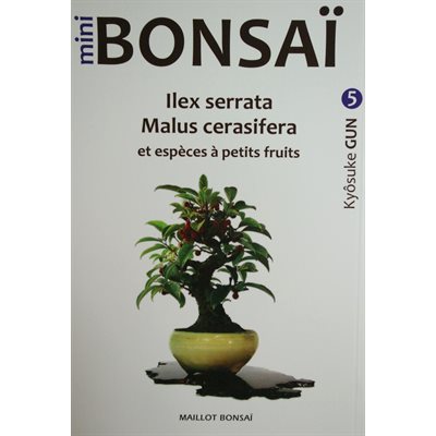 Mini-Bonsai - Malus Ilex - Kiosuke Gun
