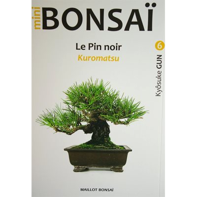 Mini-Bonsai - Pin noir - Kiosuke Gun