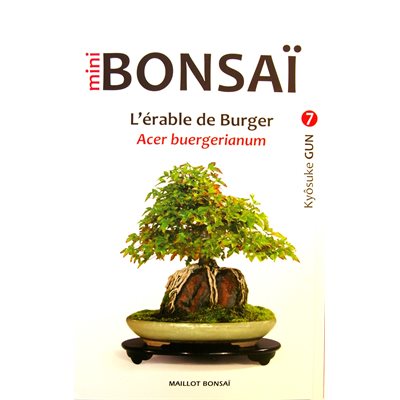 Mini-Bonsai - Erables Burger - Kyosuke Gun
