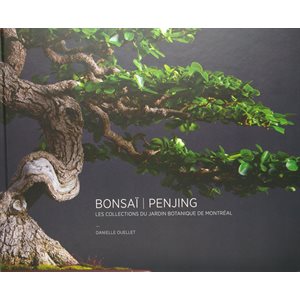 Bonsai Penjing -  J.B.Montréal