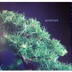 Bonsai Penjing - J.B.Montreal