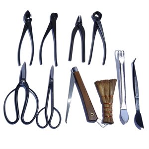 10 Tool Set