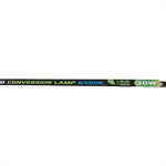 Sunblaster T5 LED Conversion Neon 36"