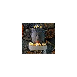 Postcard - Sq Buddha Head