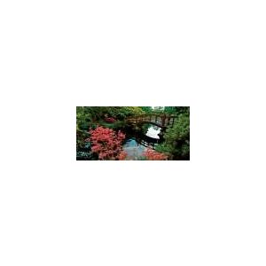 Postcard - H Japanese Garden CB Can