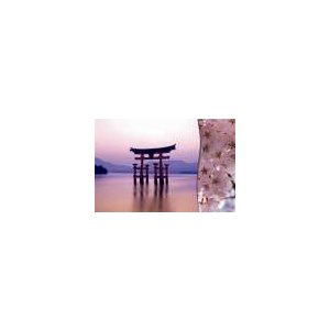 Card - Tori in the Rosy Water