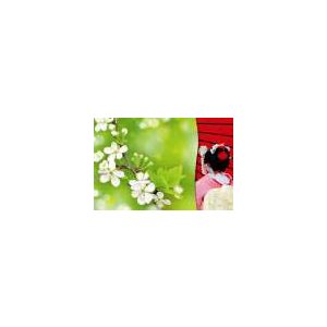 Card - Geisha Crabapple Flowers