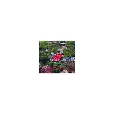Card - Japanese Garden Monaco