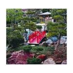 Card - Japanese Garden Monaco