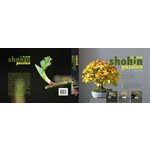 Shohin Passion - Roland Schatzer
